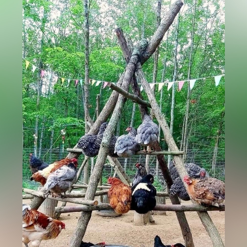 Groundhog Day Jewelry Sale 8.35 am - Picture 14 of 16